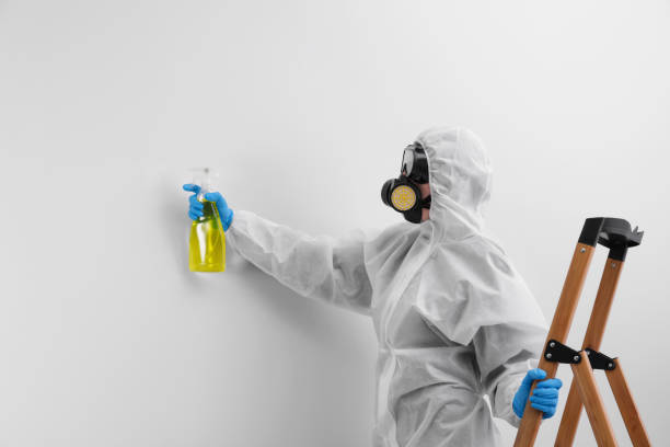 Professional Mold Removal & Remediation in Sidney, IL